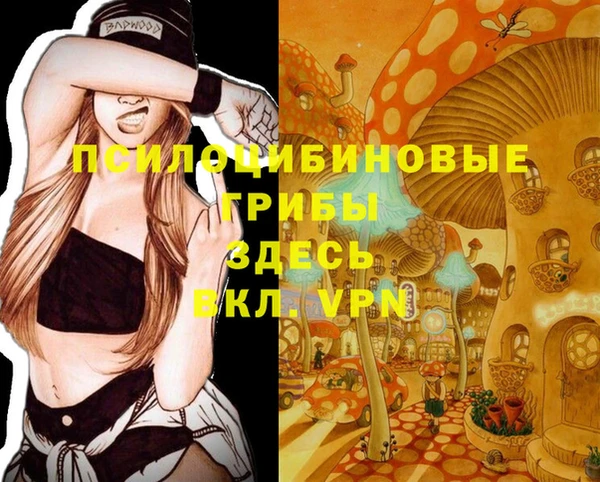 герыч Горняк