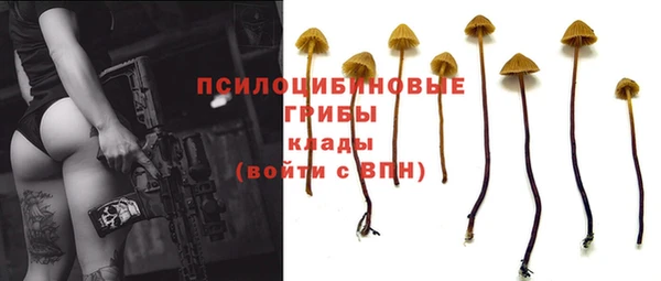 герыч Горняк